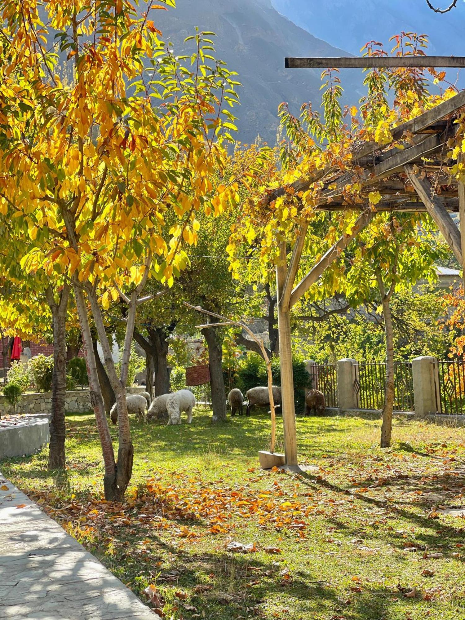 Dumani Nagar Hotel & Resort Karimabad  Buitenkant foto
