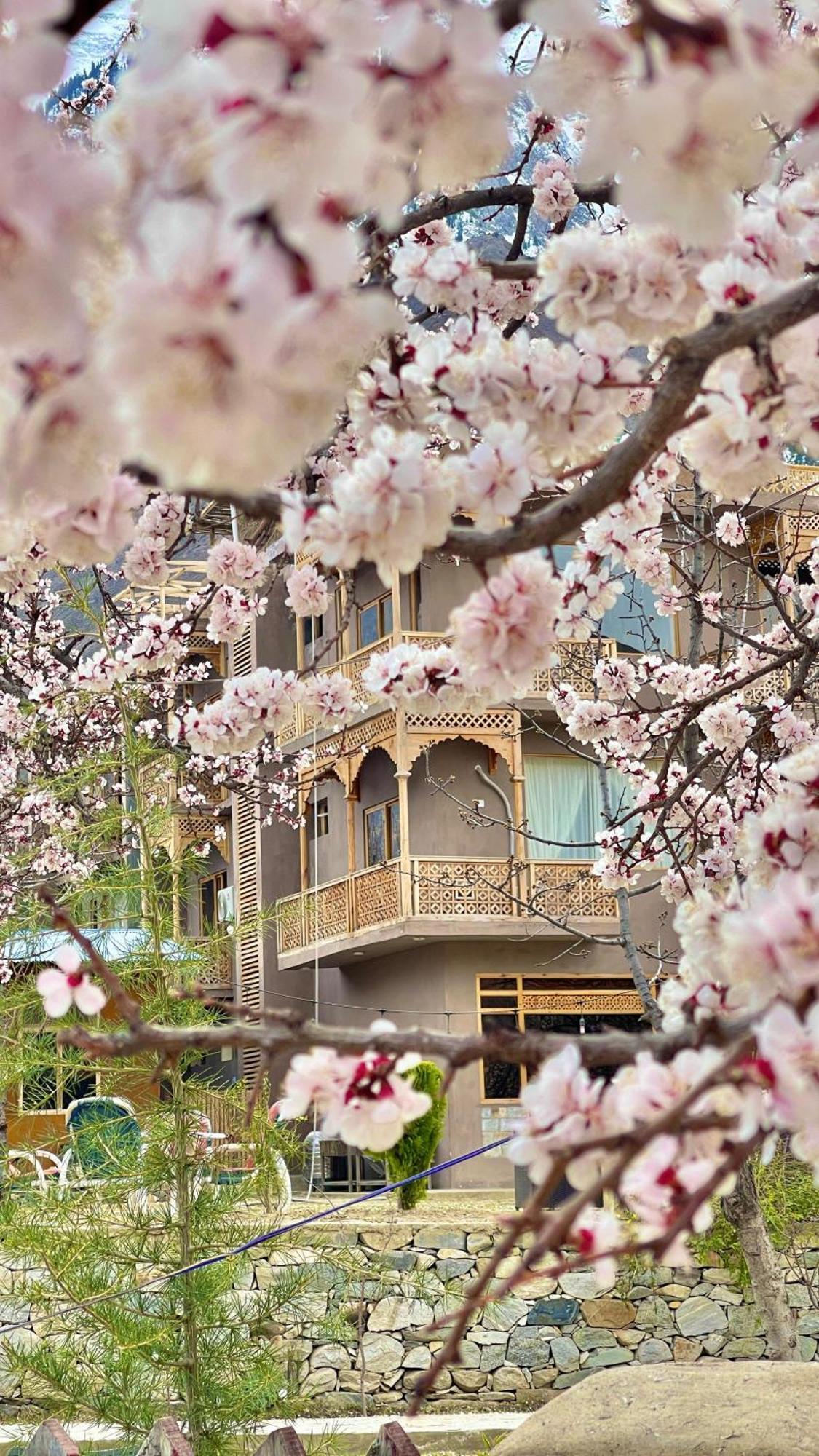 Dumani Nagar Hotel & Resort Karimabad  Buitenkant foto